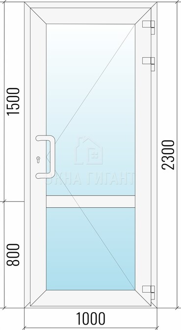Входная стеклянная одностворчатая пластиковая дверь 1000x2300 с импостом
